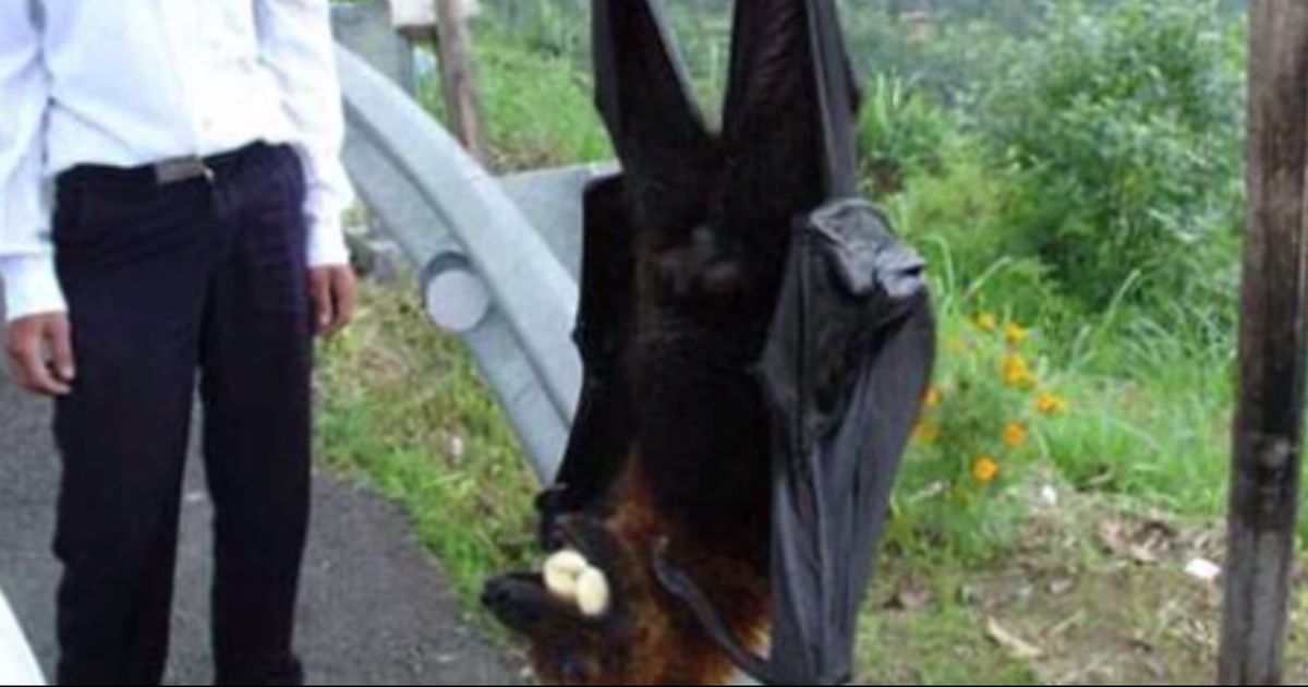 Youtube gay wedding it should have been me