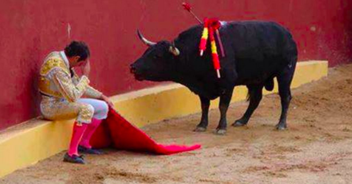 Alvaro Munera Ist Heute Einer Der Bekanntesten Stierkampf Gegner