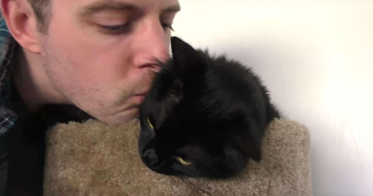 Mag deine Katze Küsse?